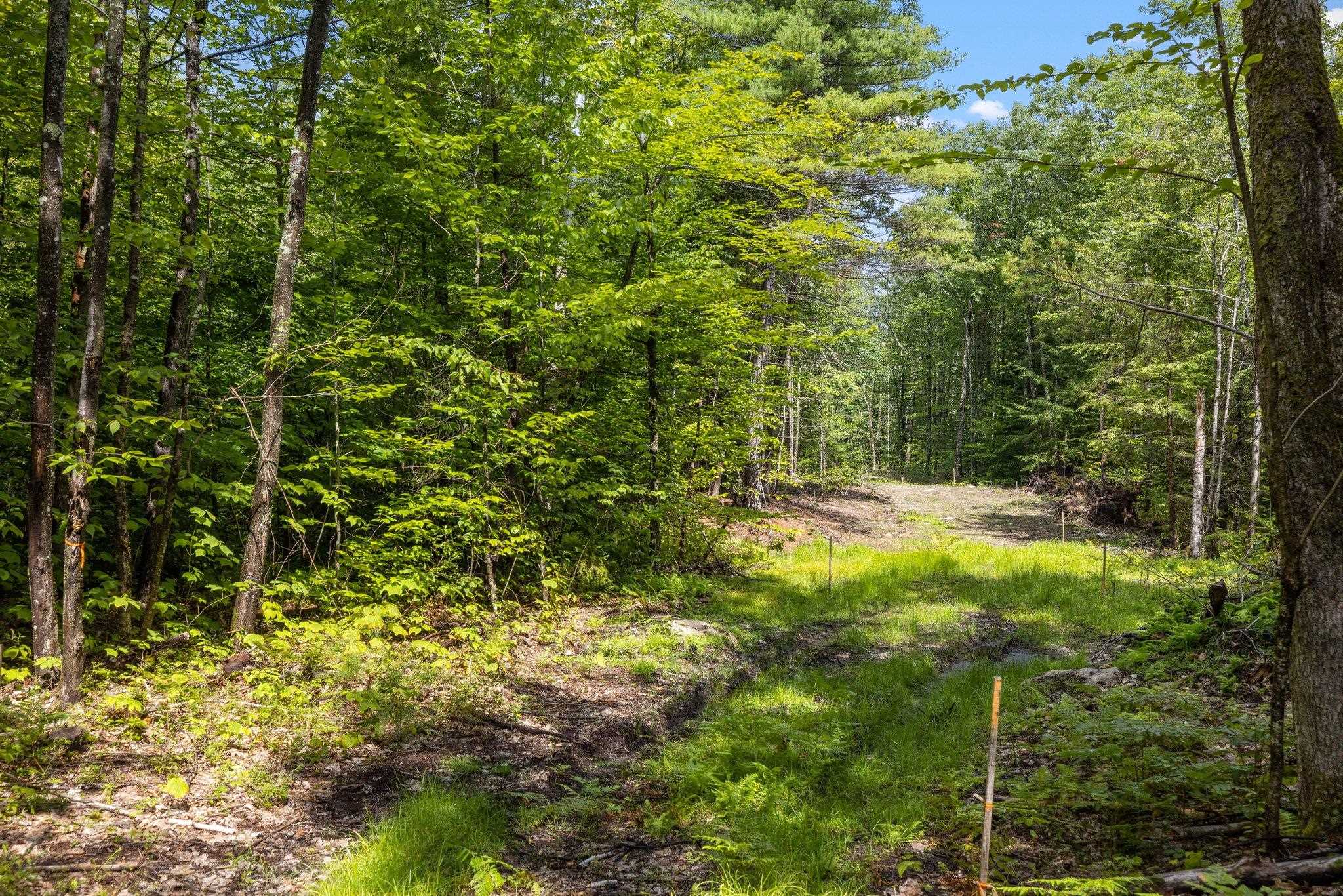 Mountain Road, Unit 3 Center Tuftonboro, NH 03816 - Photo 3 of 16