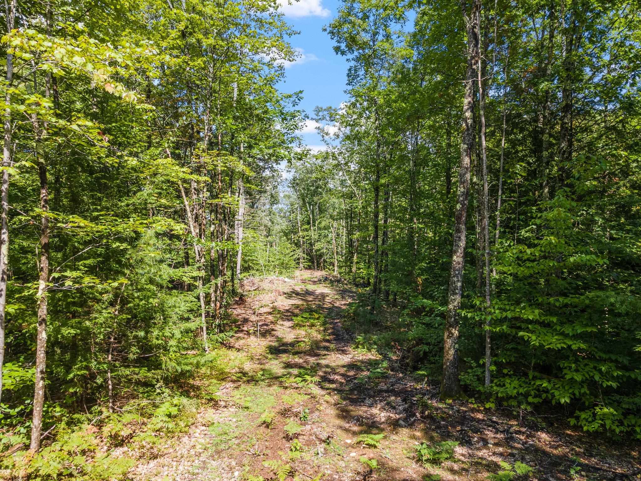 Mountain Road, Unit 3 Center Tuftonboro, NH 03816 - Photo 4 of 16