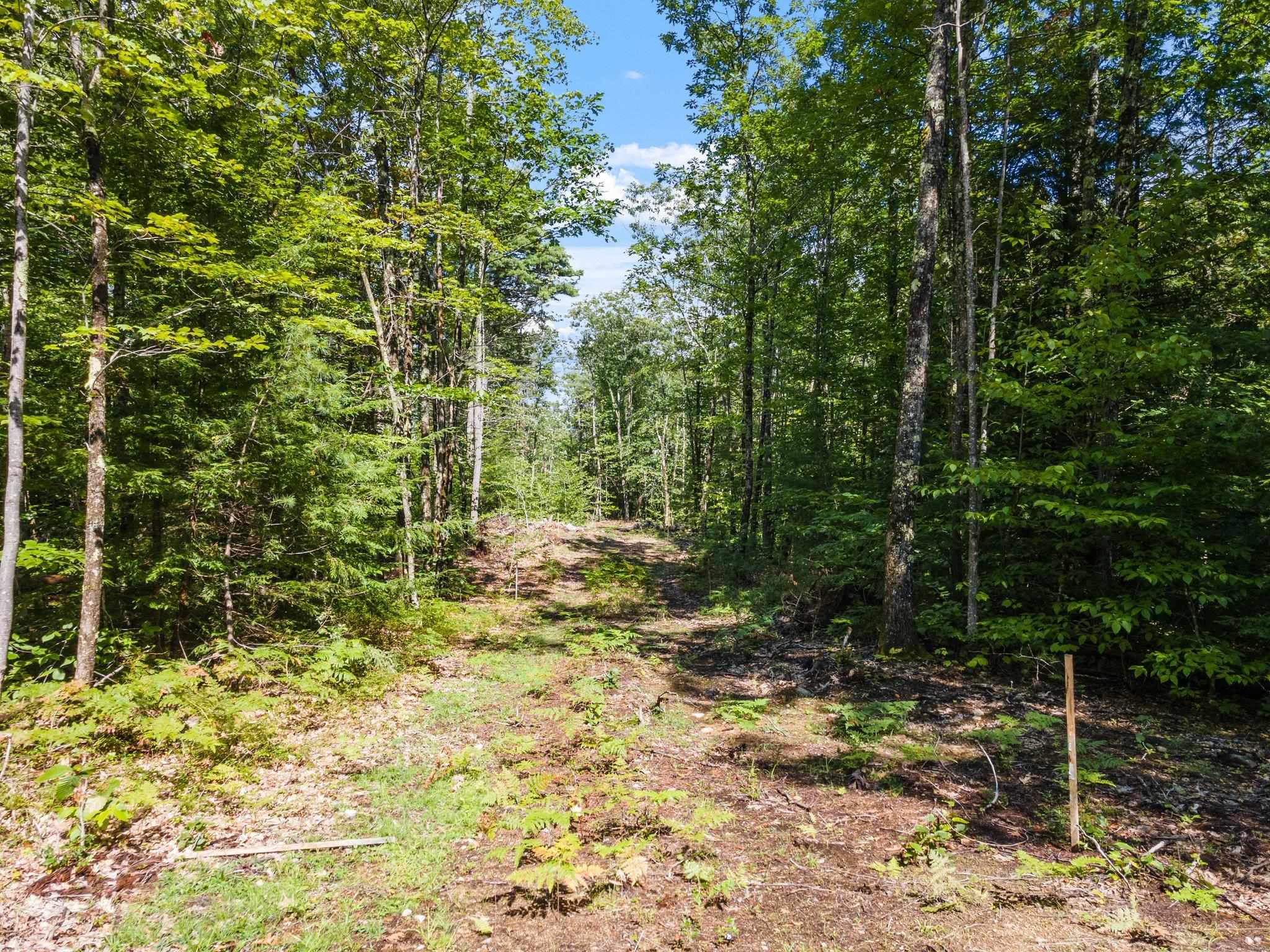 Mountain Road, Unit 3 Center Tuftonboro, NH 03816 - Photo 5 of 16
