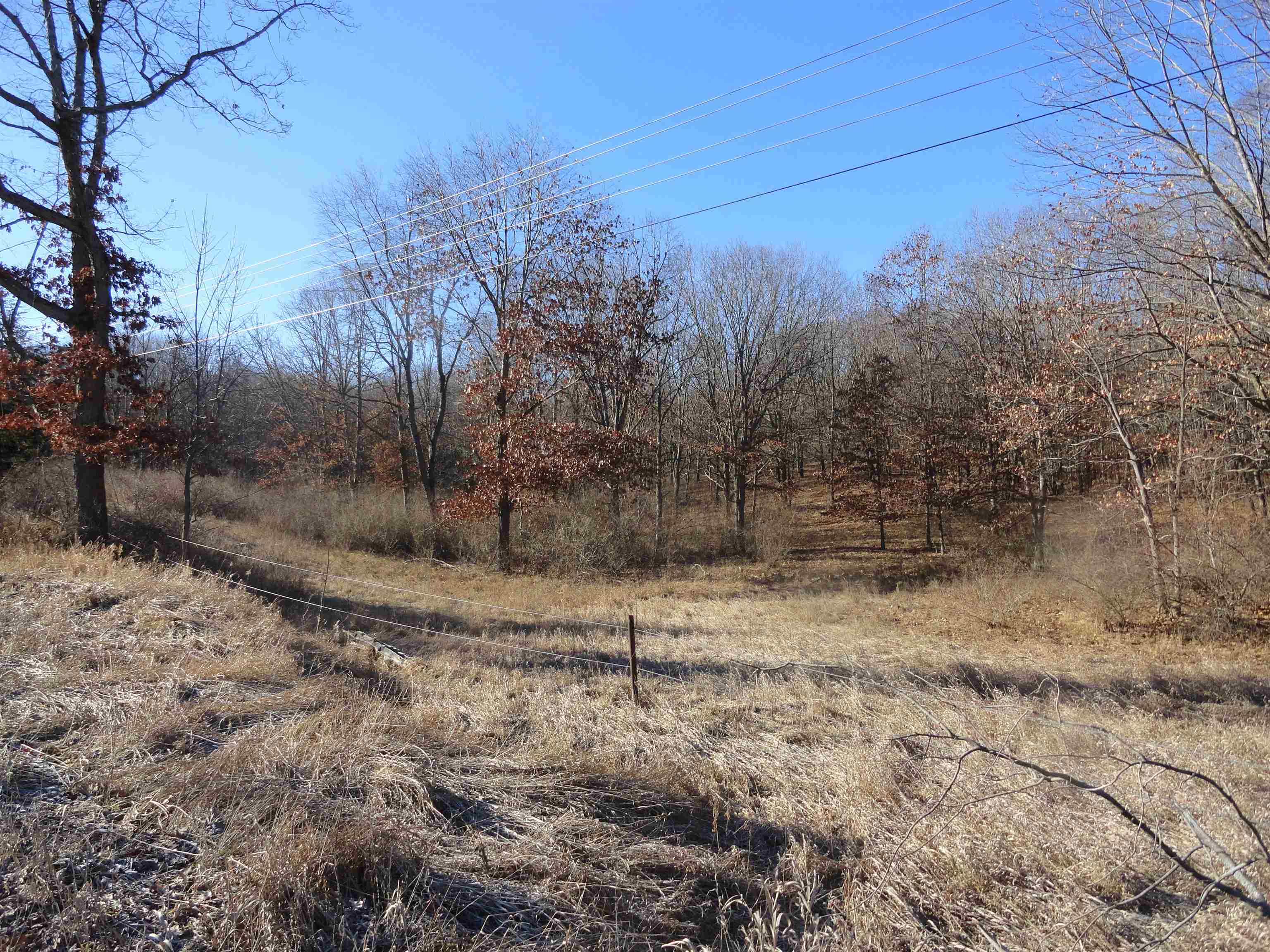 Tbd North Rolland Road Weidman, MI 48893 - Photo 3 of 14