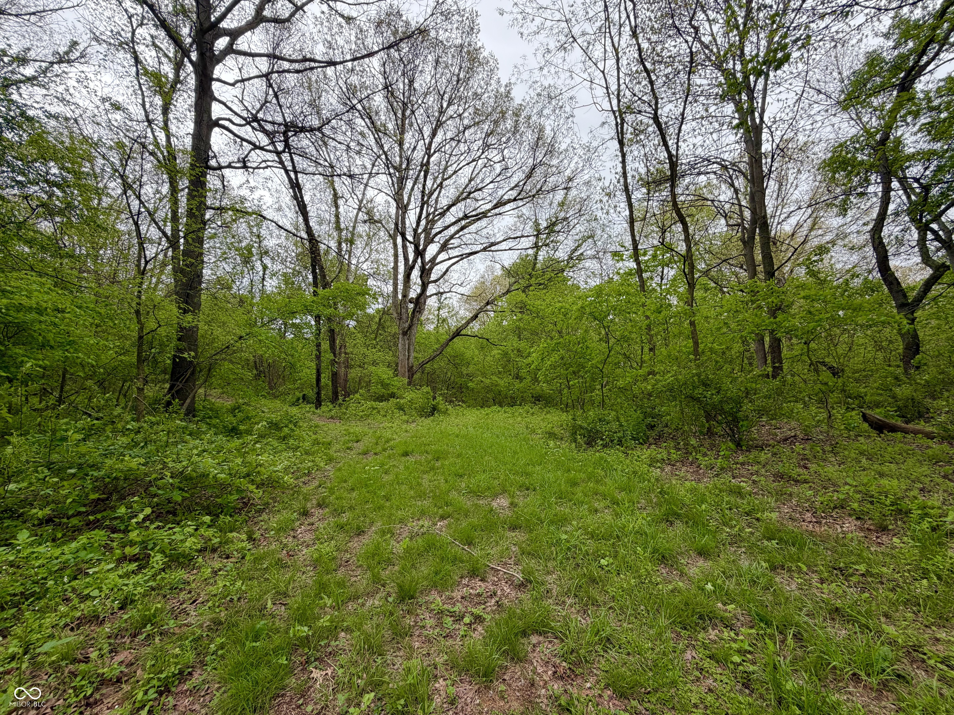 3147 West 260 North Covington, IN 47932 - Photo 27 of 41
