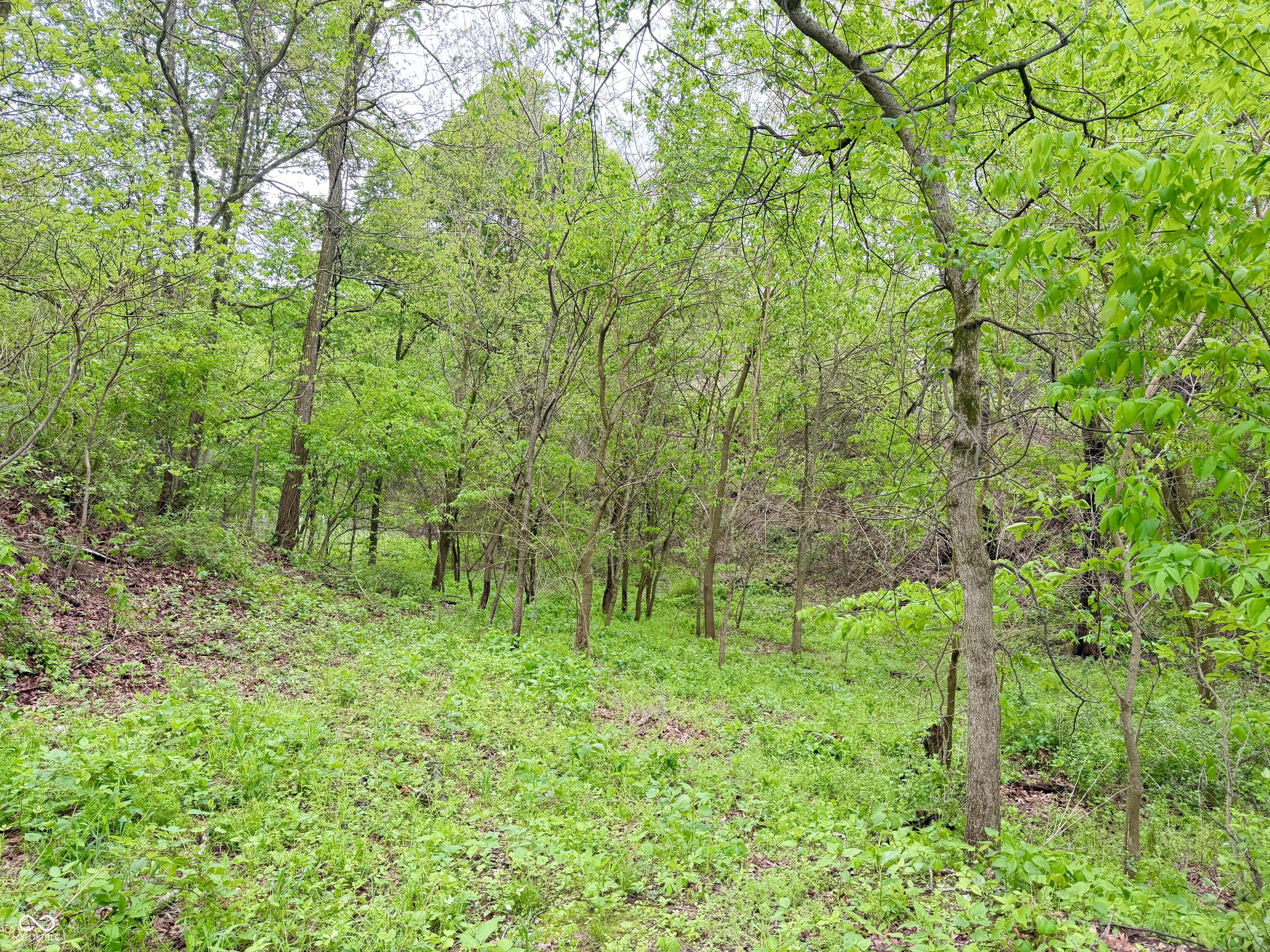 3147 West 260 North Covington, IN 47932 - Photo 28 of 41