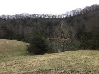 9999 Sasser School Road London, KY 40744 - Photo 53 of 53 Listing Photo