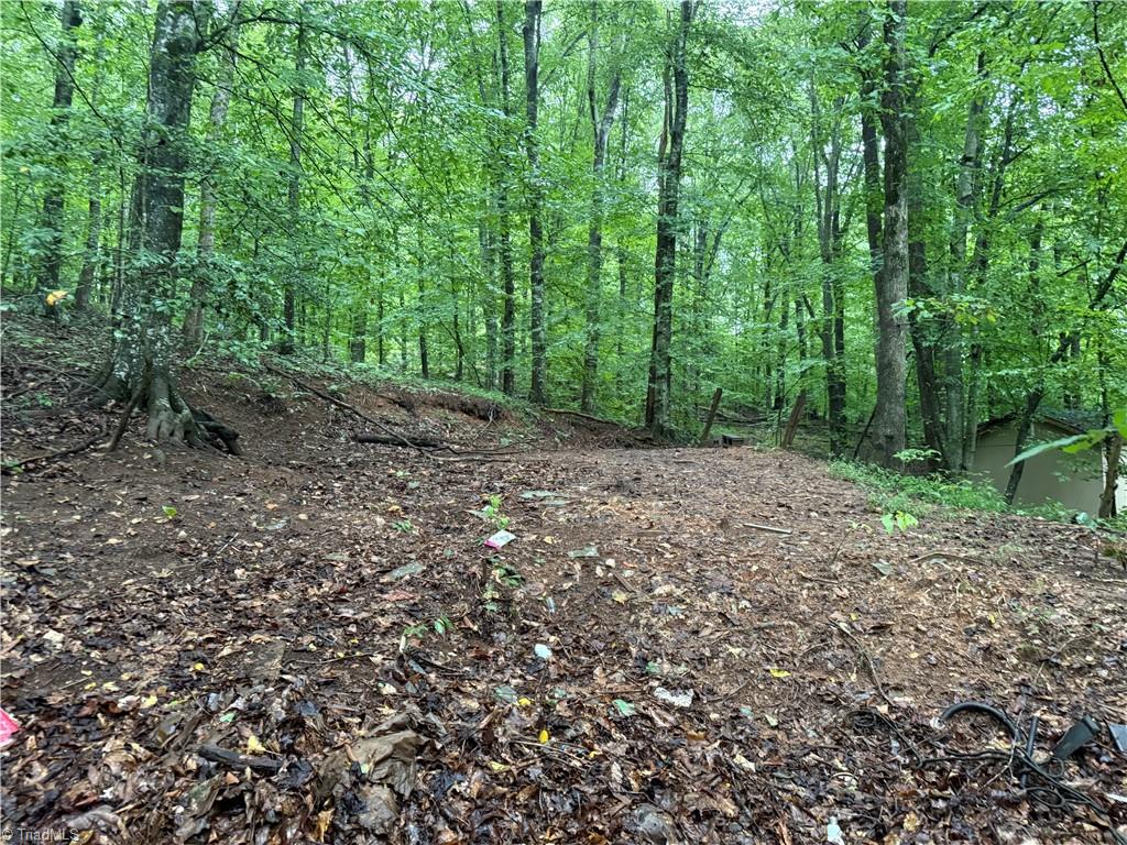 7680 Donnaha Road Tobaccoville, NC 27050 - Photo 12 of 24