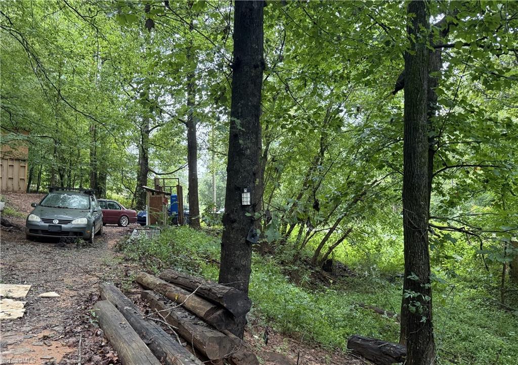 7680 Donnaha Road Tobaccoville, NC 27050 - Photo 14 of 24