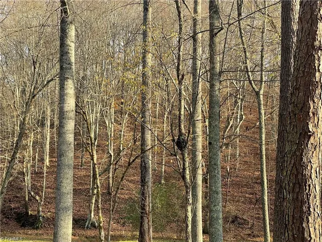 $50,000 | 7680 Donnaha Road, Tobaccoville, NC 27050