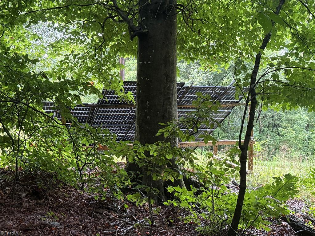 7680 Donnaha Road Tobaccoville, NC 27050 - Photo 8 of 24