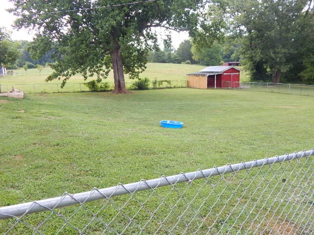4240 Shellsford Road McMinnville, TN 37110 - Photo 8 of 41 Gallery Image 8