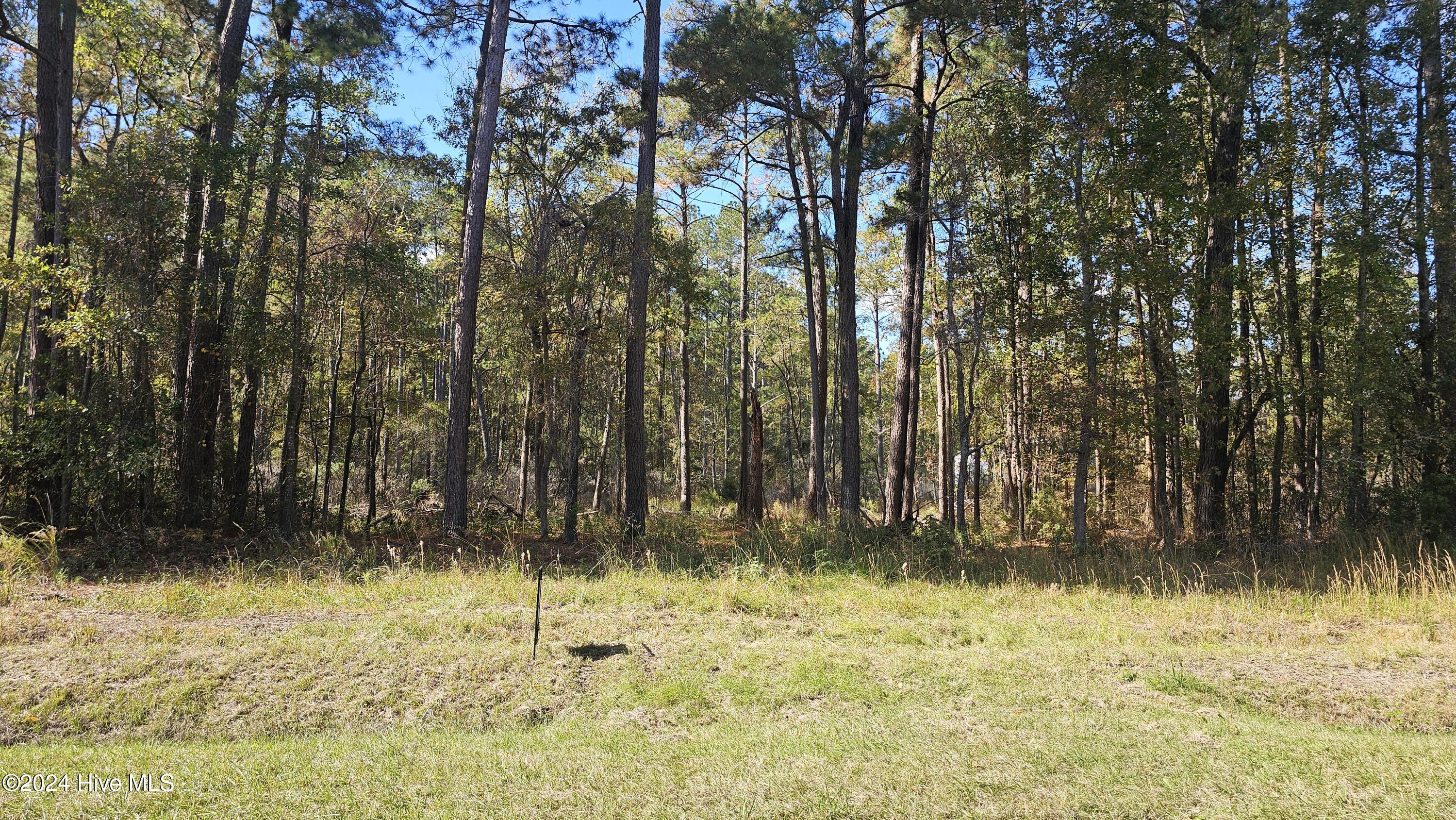 0 Barnes Foster Loop Road Belhaven, NC 27810 - Photo 2 of 7 20241116_120446