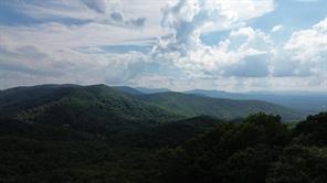 93 Bear Track Trail Morganton, GA 30560 - Photo 2 of 12 a view of city and green space