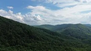 a view of a lot of trees in the background