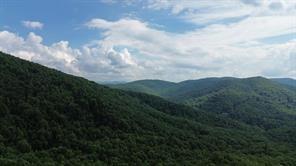 93 Bear Track Trail Morganton, GA 30560 - Photo 3 of 12 a view of a lot of trees in the background