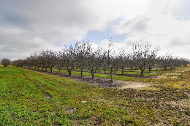 $550,000 | 14234 Alpine Road, Lodi, CA 95240