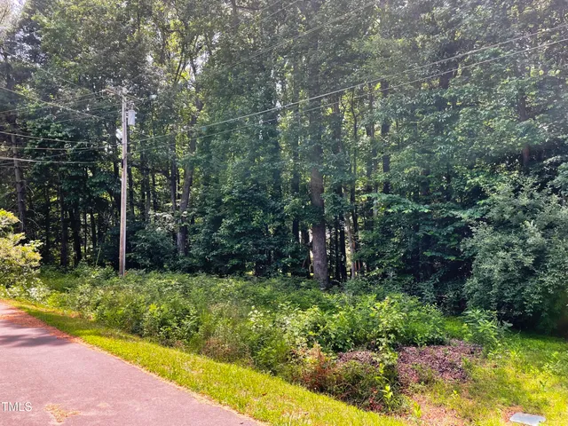 a view of backyard with green space
