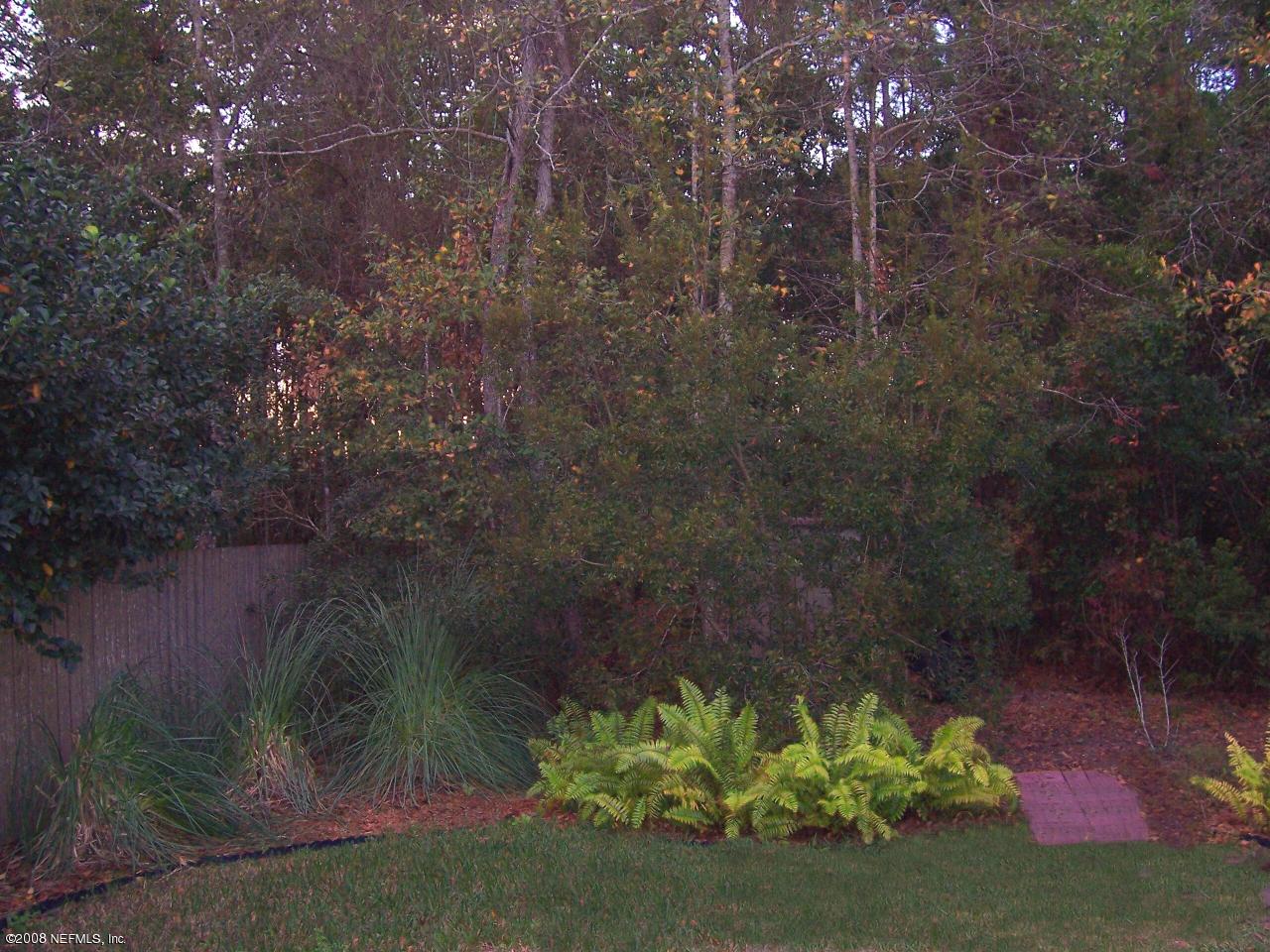 1864 Old Fleming Grove Road Fleming Island, FL 32003 - Photo 2 of 18 WOODED BACKYARD