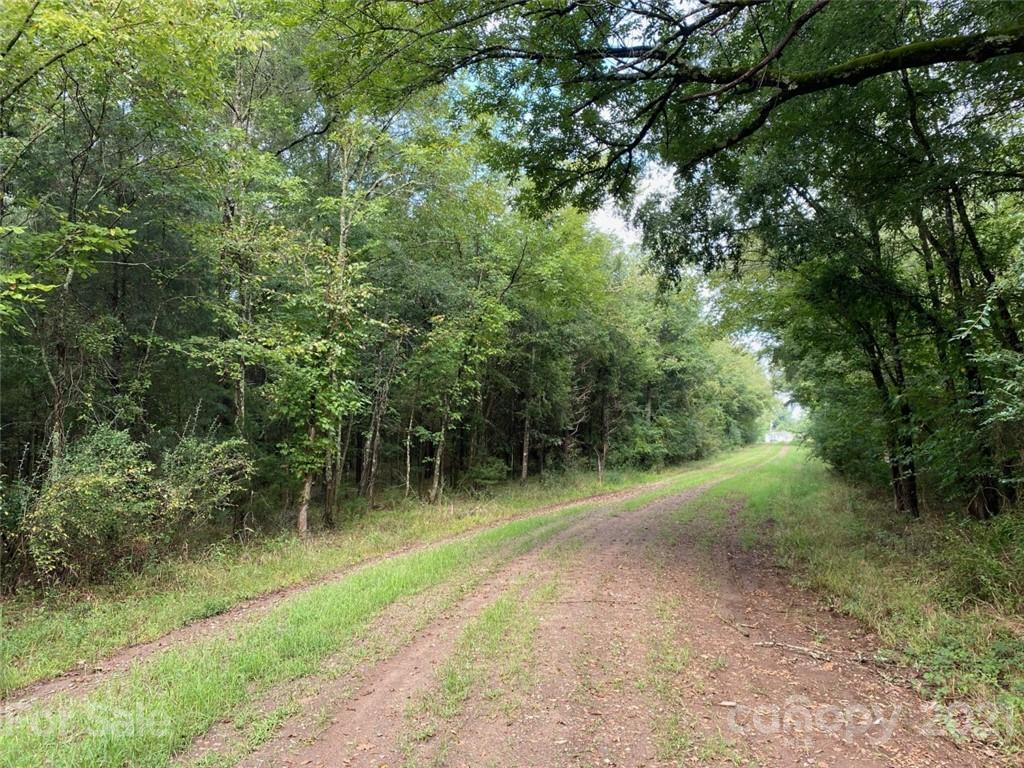 0 Brookgreen Circle Rock Hill, SC 29730 - Photo 2 of 3 a view of a forest