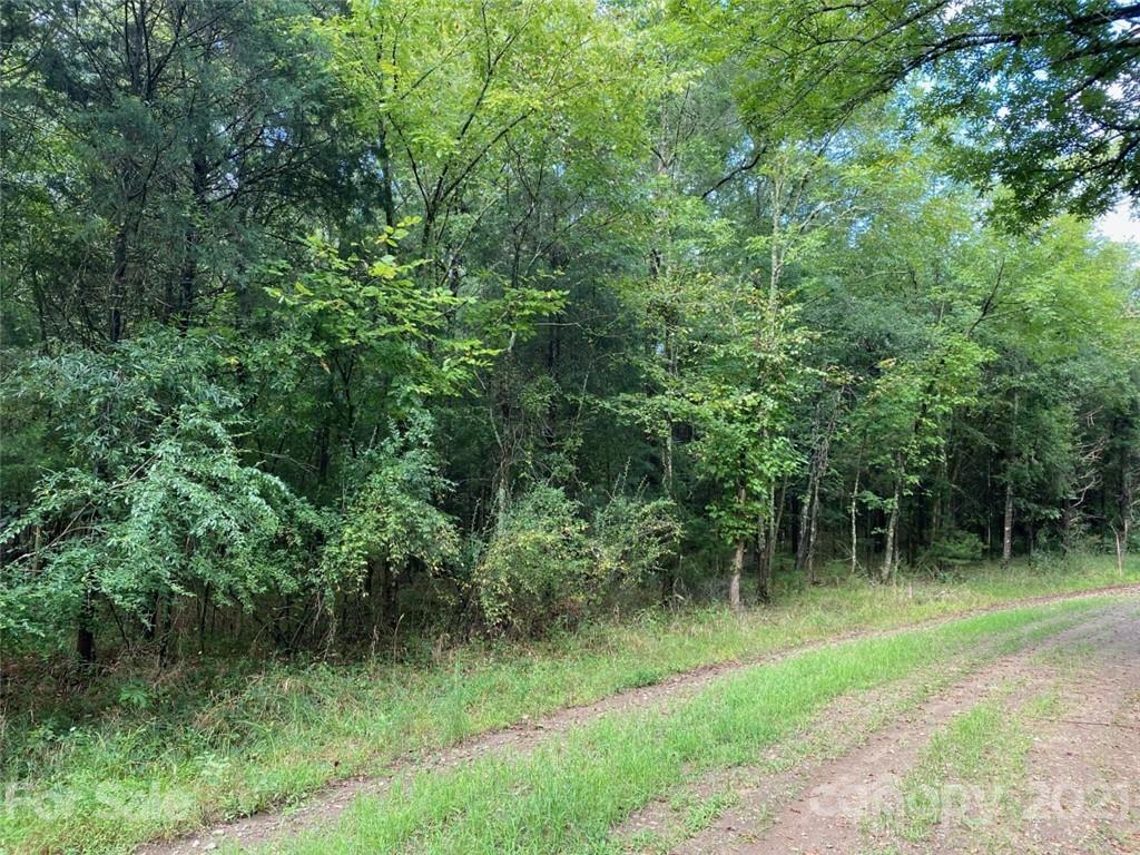 0 Brookgreen Circle Rock Hill, SC 29730 - Photo 3 of 3 a view of a lush green forest