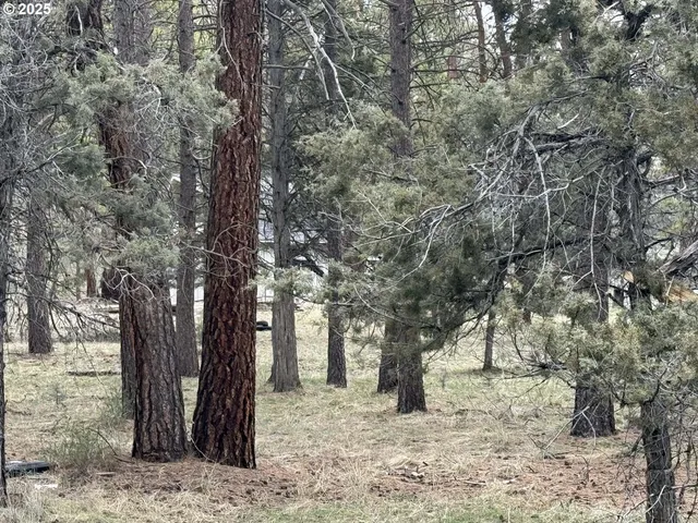 $16,000 | Spoonbill Drive, Unit L 57, Bonanza, OR 97623