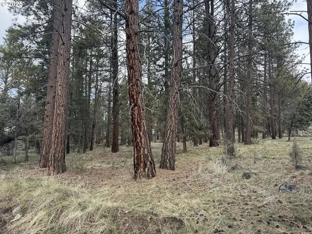 $16,000 | Spoonbill Drive, Unit L 57, Bonanza, OR 97623