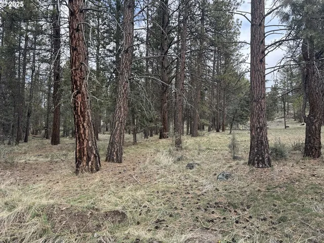 $16,000 | Spoonbill Drive, Unit L 57, Bonanza, OR 97623