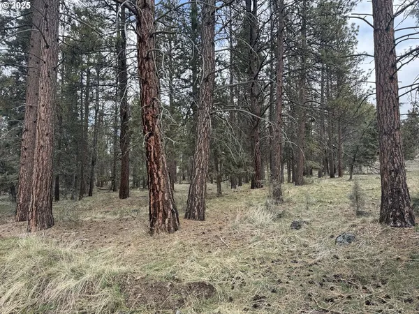 a view of outdoor space with trees