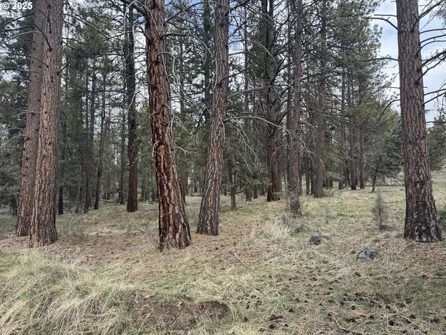 $16,000 | Spoonbill Drive, Unit L 57, Bonanza, OR 97623