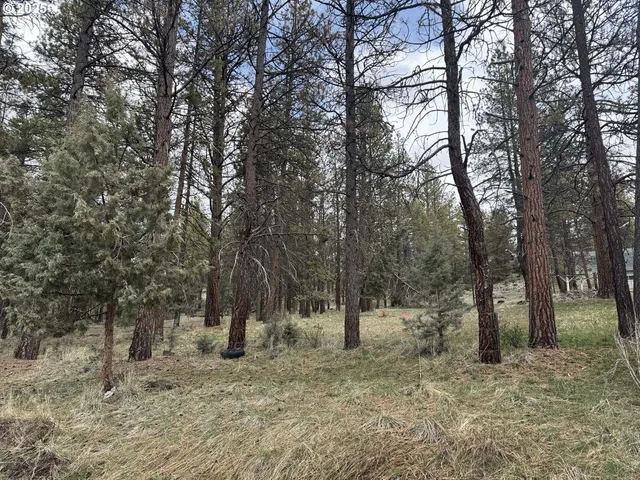 $16,000 | Spoonbill Drive, Unit L 57, Bonanza, OR 97623