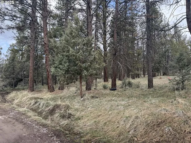 $16,000 | Spoonbill Drive, Unit L 57, Bonanza, OR 97623