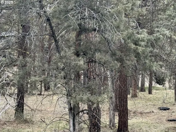 a view of outdoor space with trees