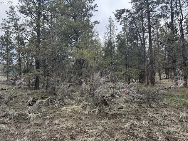 $16,000 | Spoonbill Drive, Unit L 57, Bonanza, OR 97623