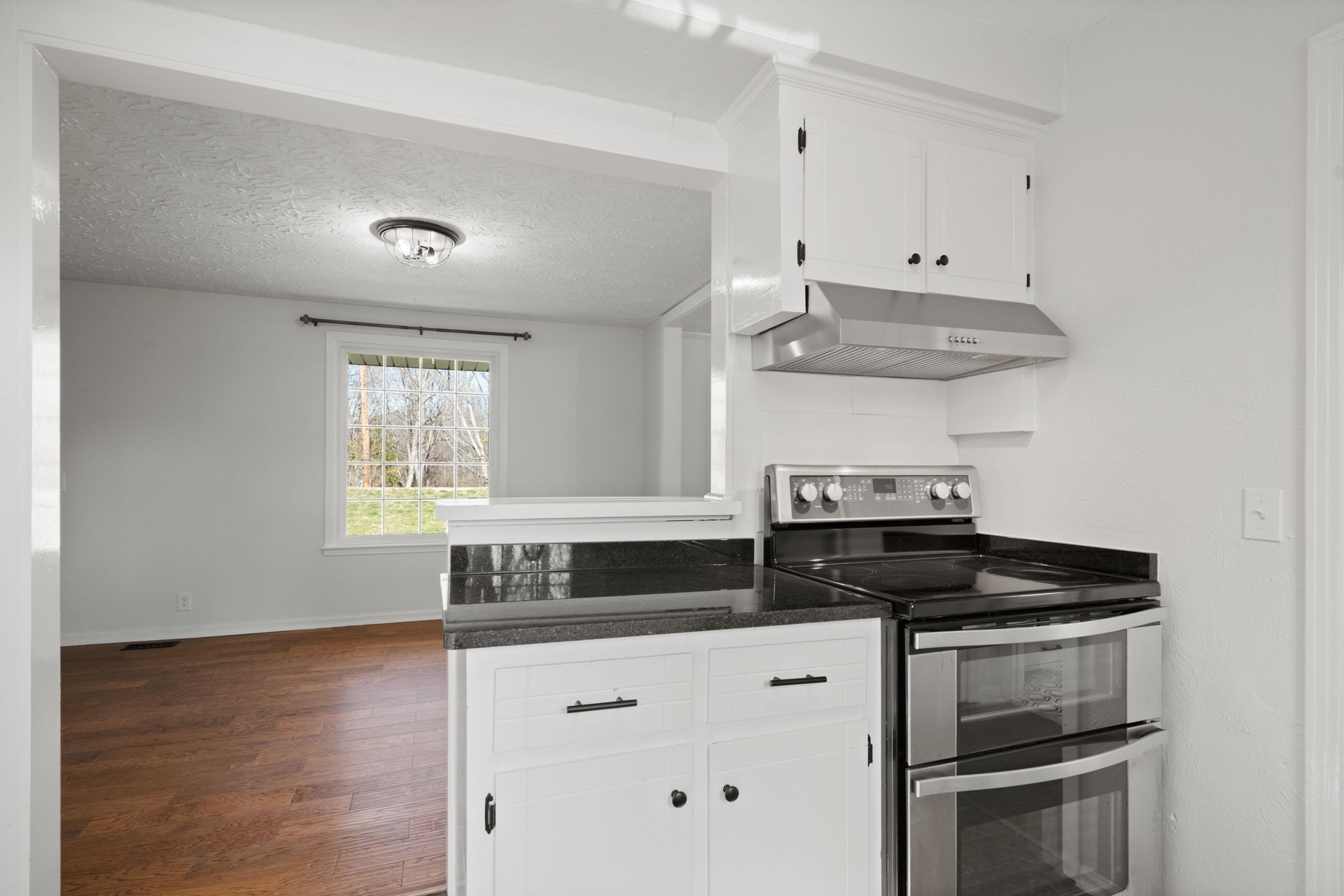 1843 Lake Road Greenbrier, TN 37073 - Photo 17 of 34 Gallery Image 17