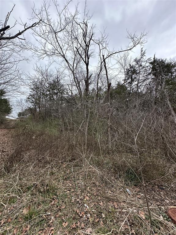 629 Munson Street Denison, TX 75021 - Photo 2 of 10 a backyard of a house with lots of green space