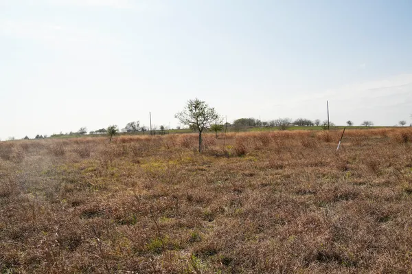 a view of backyard of house