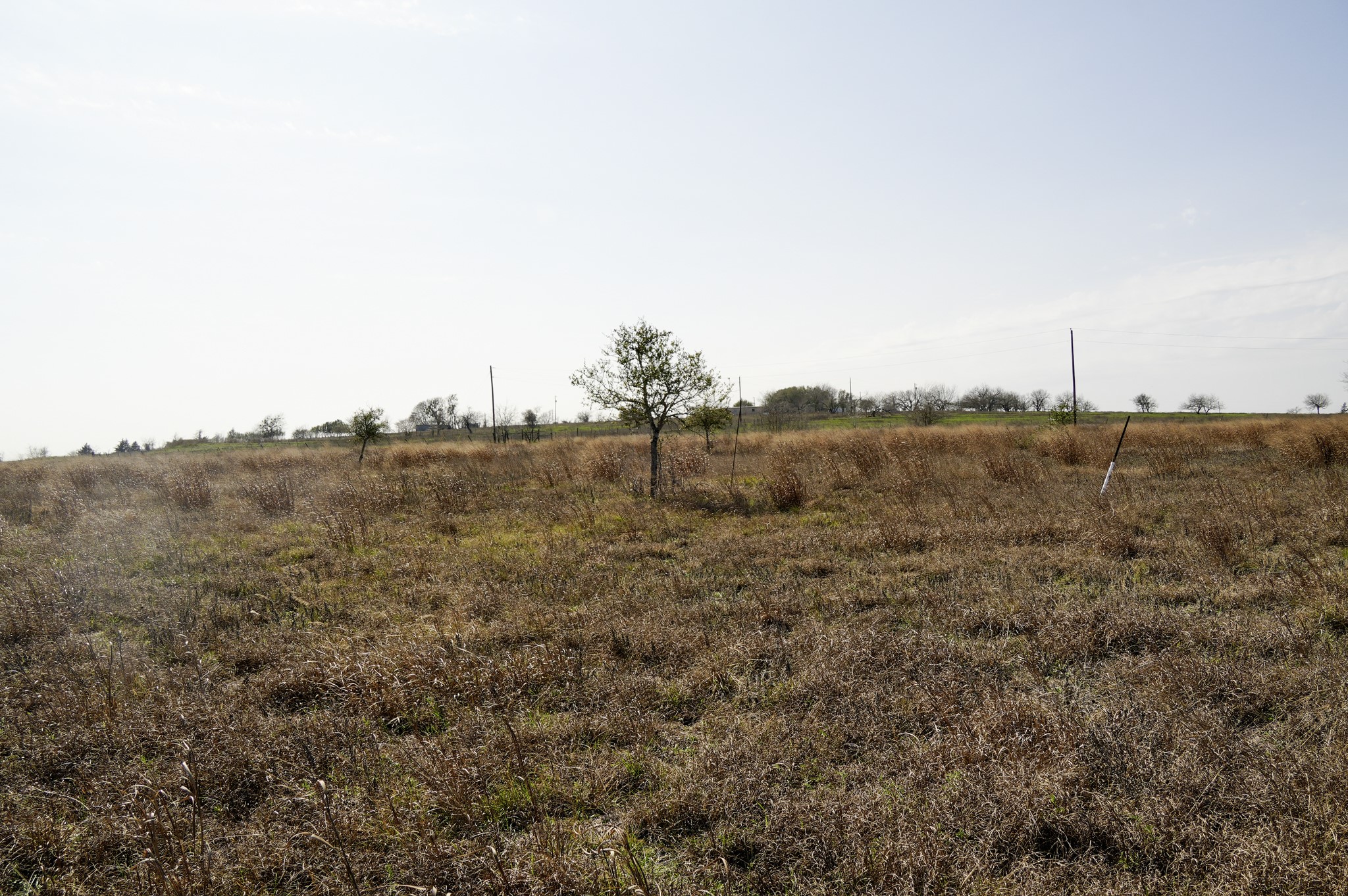 6455 Gebert Road Muldoon, TX 78949 - Photo 23 of 44
