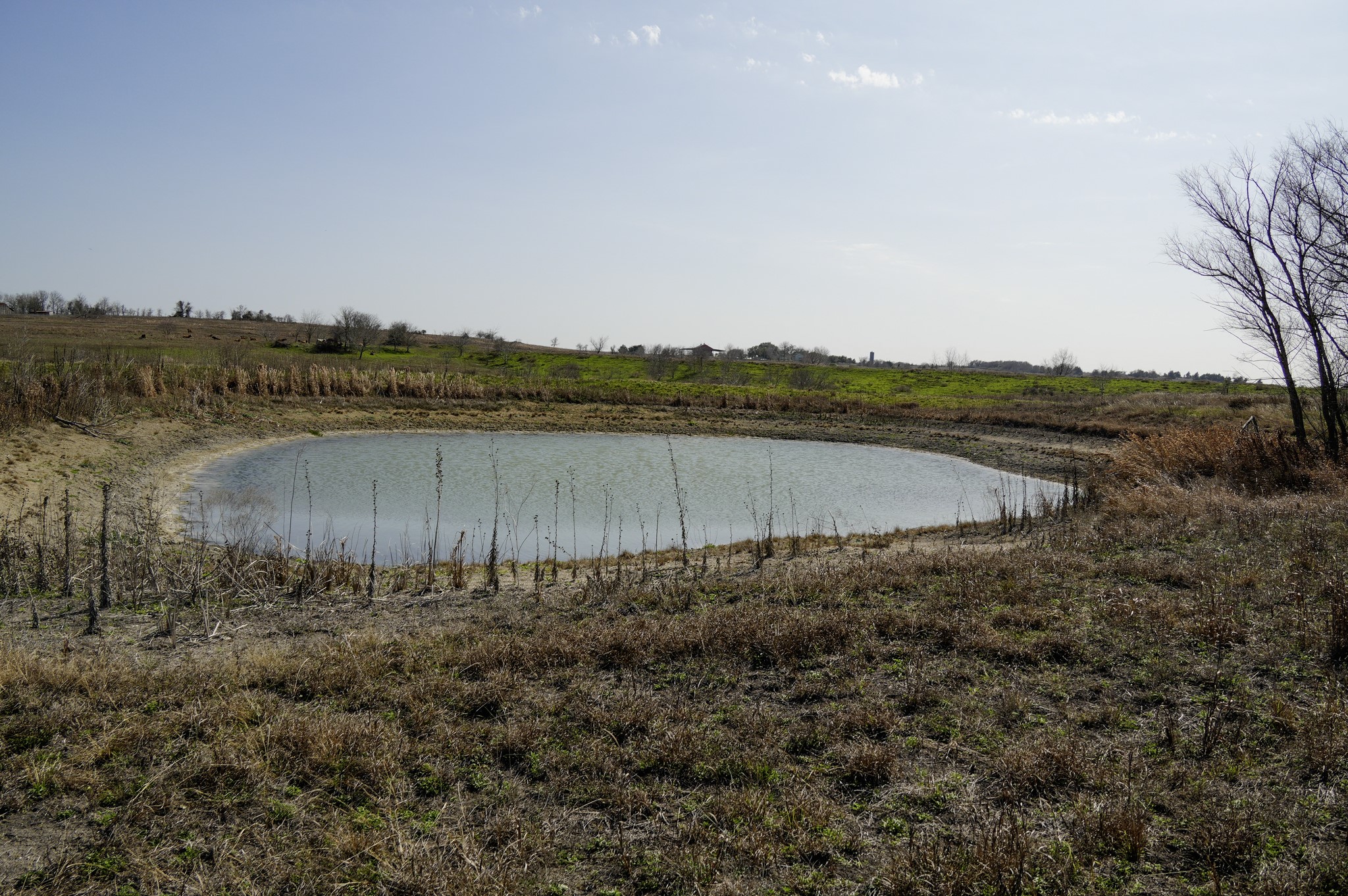6455 Gebert Road Muldoon, TX 78949 - Photo 25 of 44 a view of lake with mountain