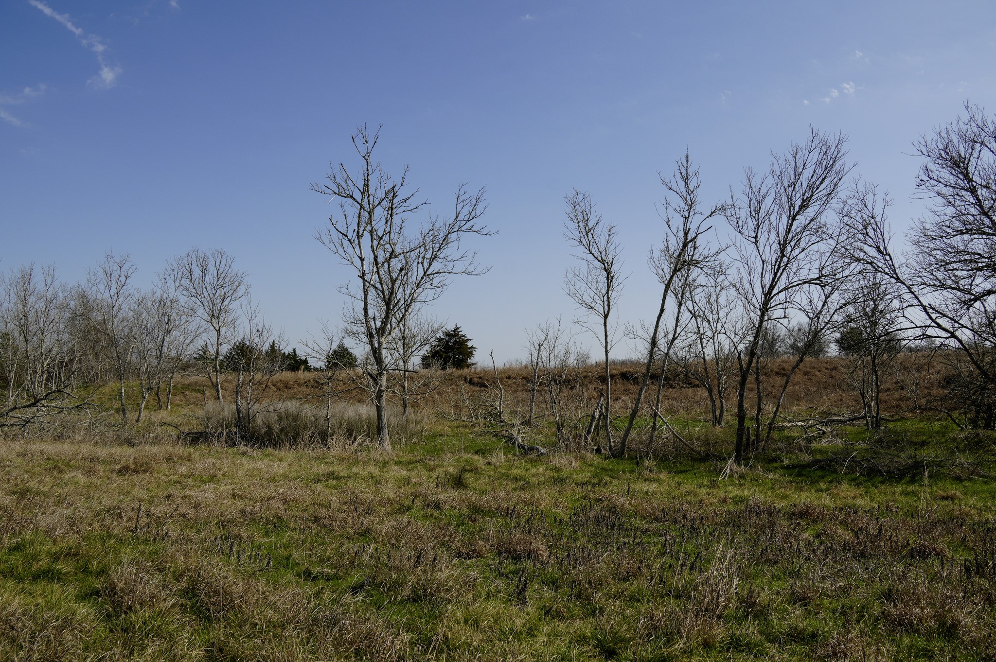 6455 Gebert Road Muldoon, TX 78949 - Photo 28 of 44 a view of backyard of house