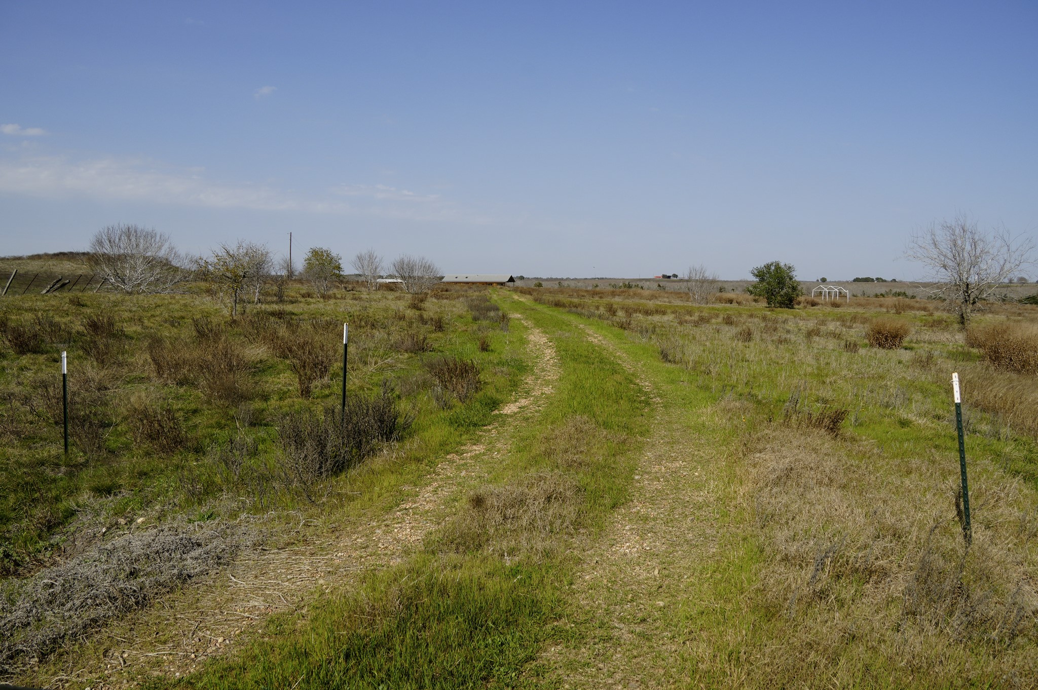 6455 Gebert Road Muldoon, TX 78949 - Photo 38 of 44 a view of a yard