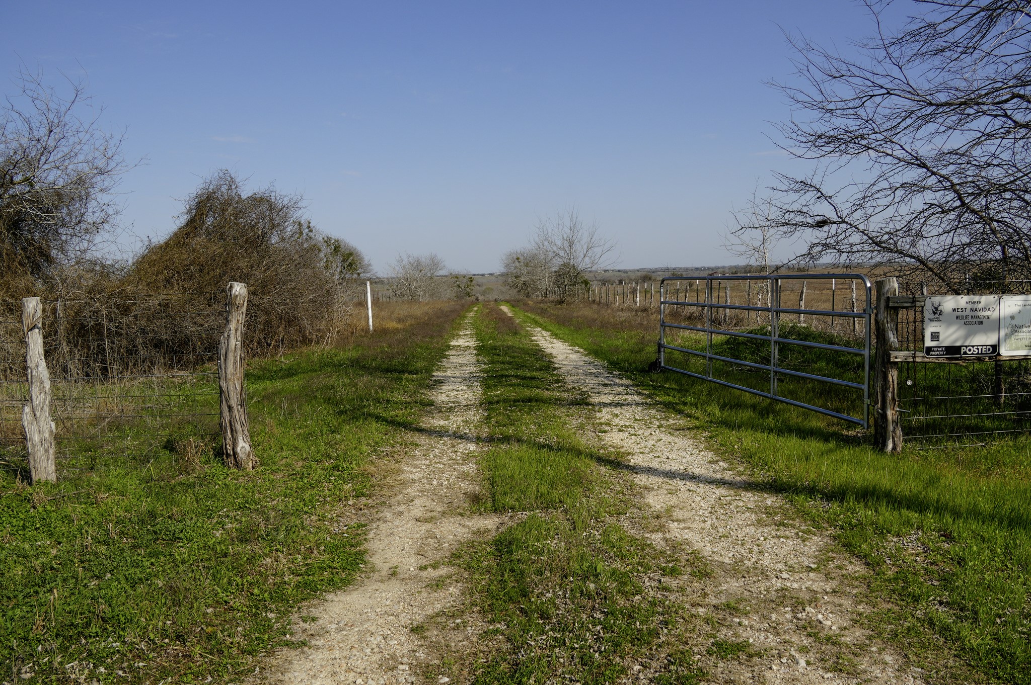 6455 Gebert Road Muldoon, TX 78949 - Photo 40 of 44 a view of a park