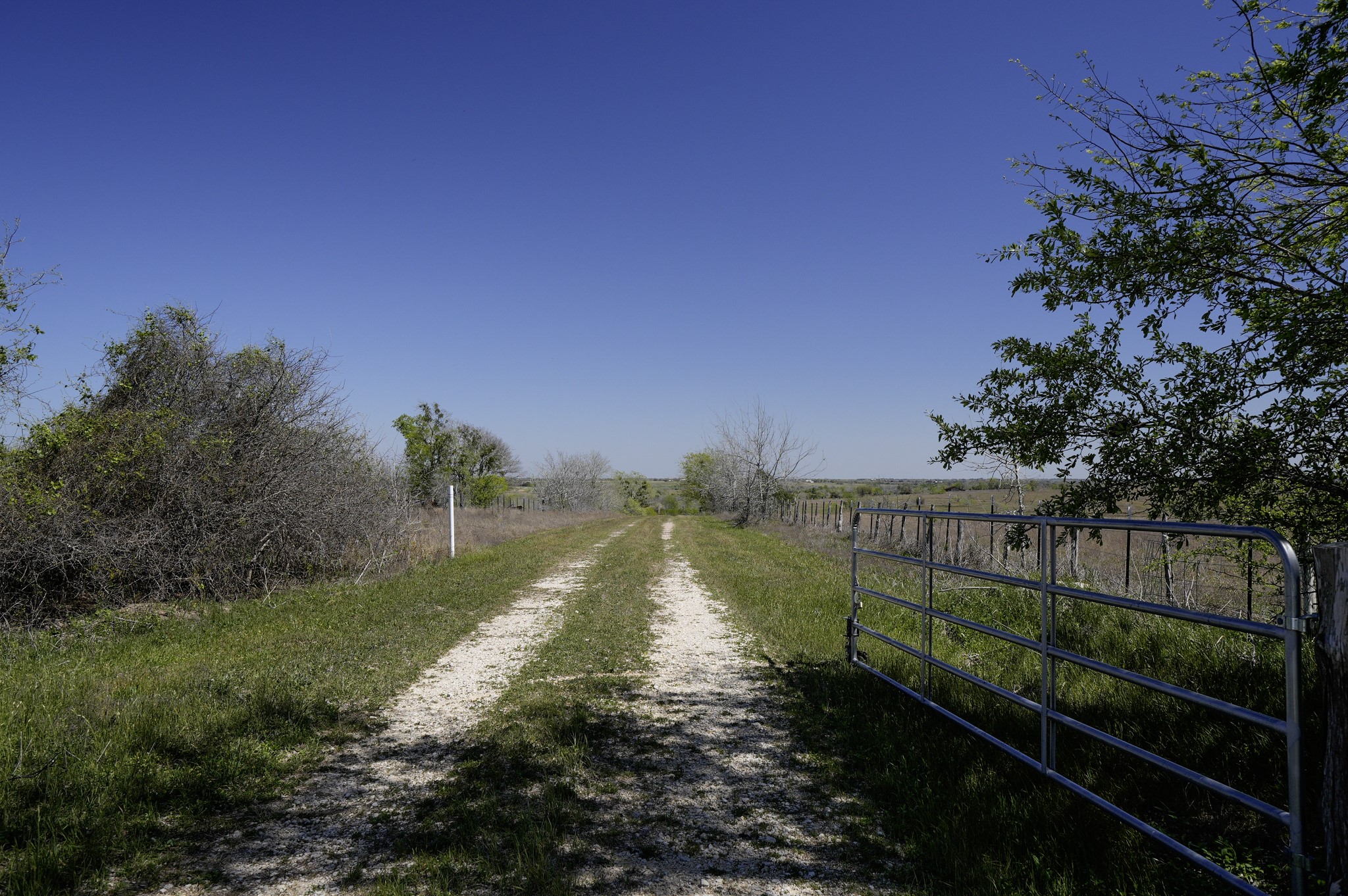 6455 Gebert Road Muldoon, TX 78949 - Photo 41 of 44 a view of a pathway with a yard