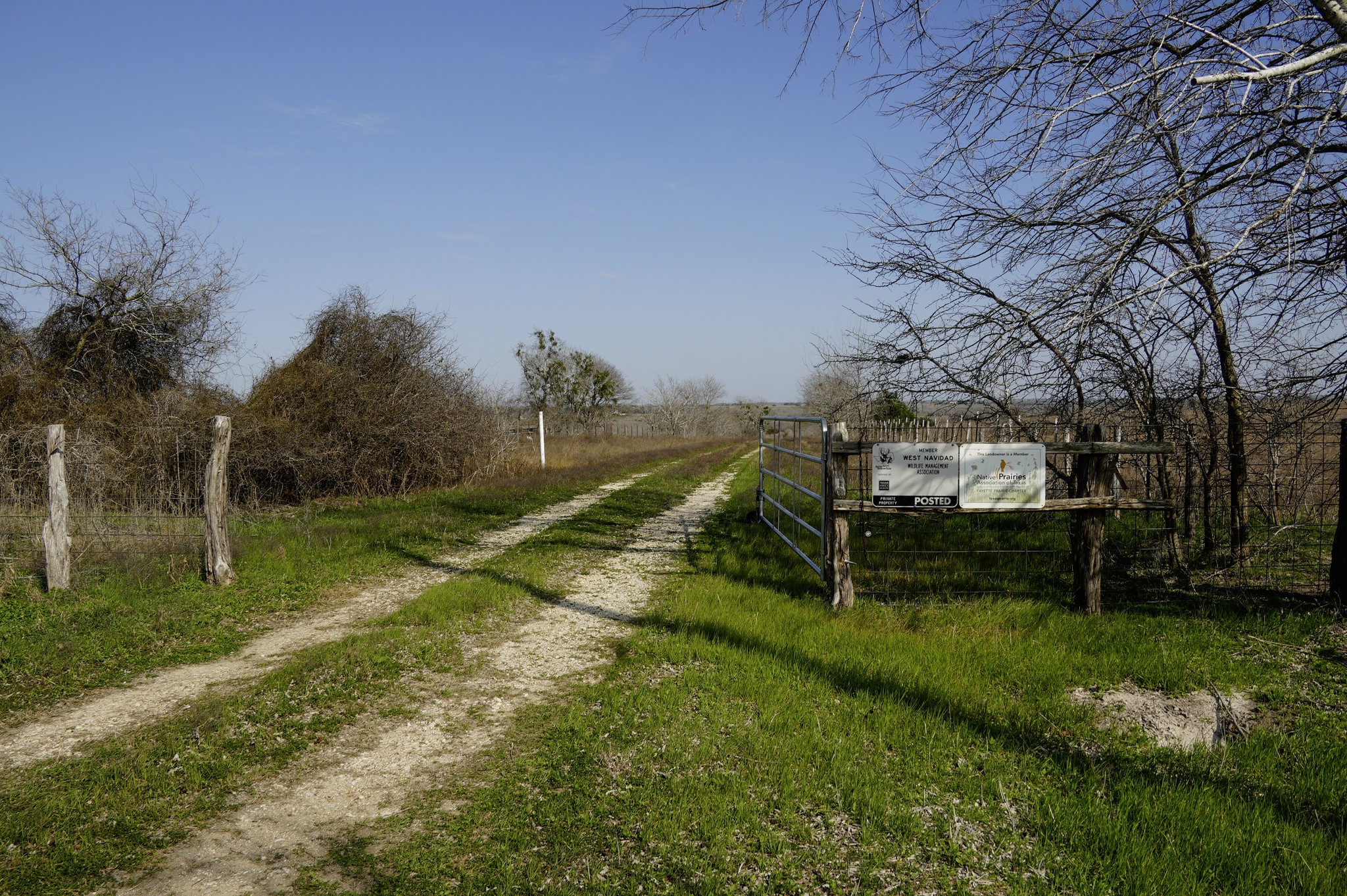 6455 Gebert Road Muldoon, TX 78949 - Photo 42 of 44 a view of a park with houses