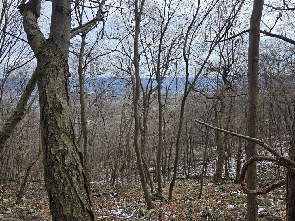 0 Laurel Mountain Road Three Springs, PA 17264 - Photo 6 of 6 view