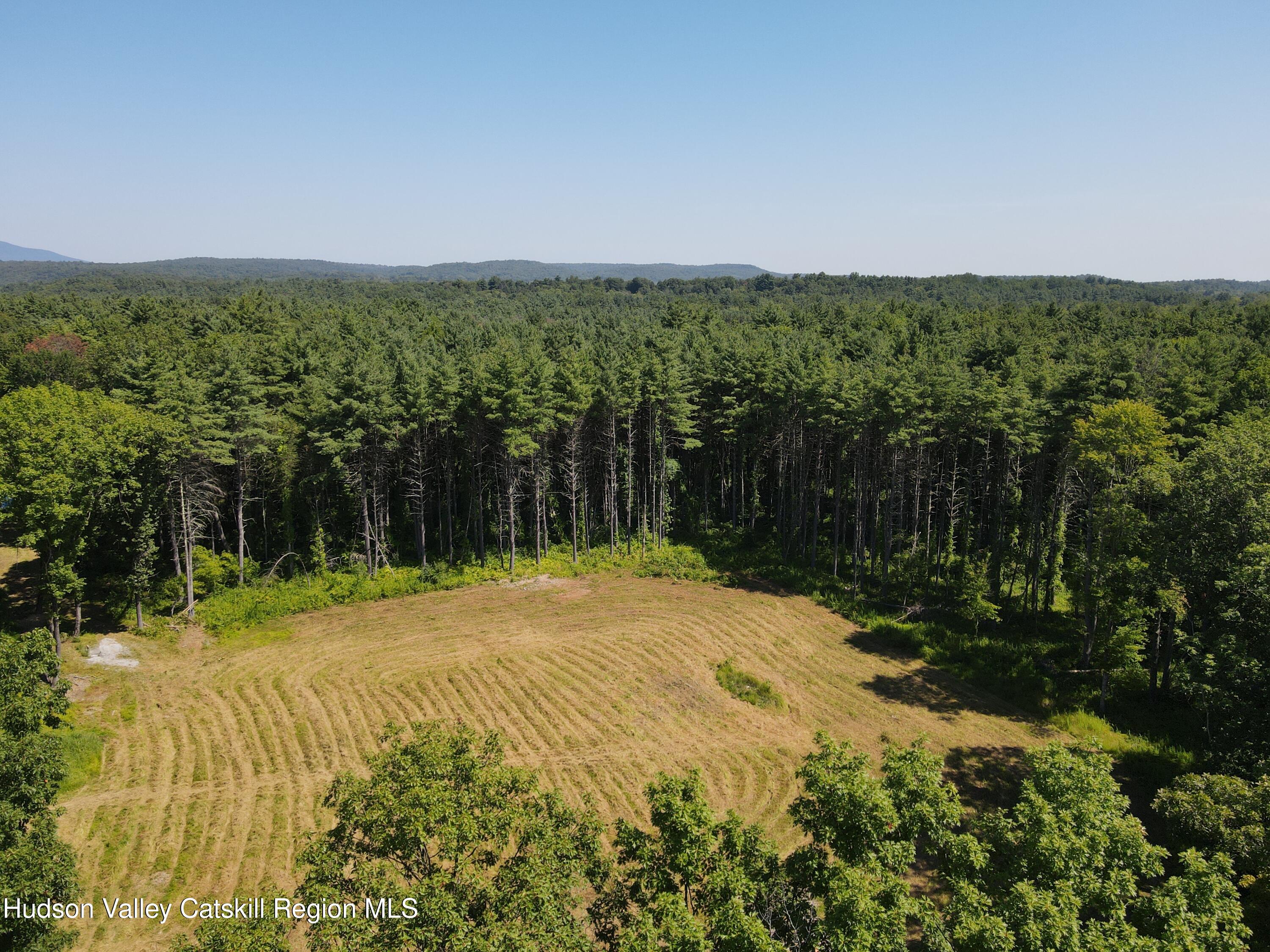45 Mill Brook Lane Kerhonkson, NY 12446 - Photo 12 of 13 a view of outdoor space and yard