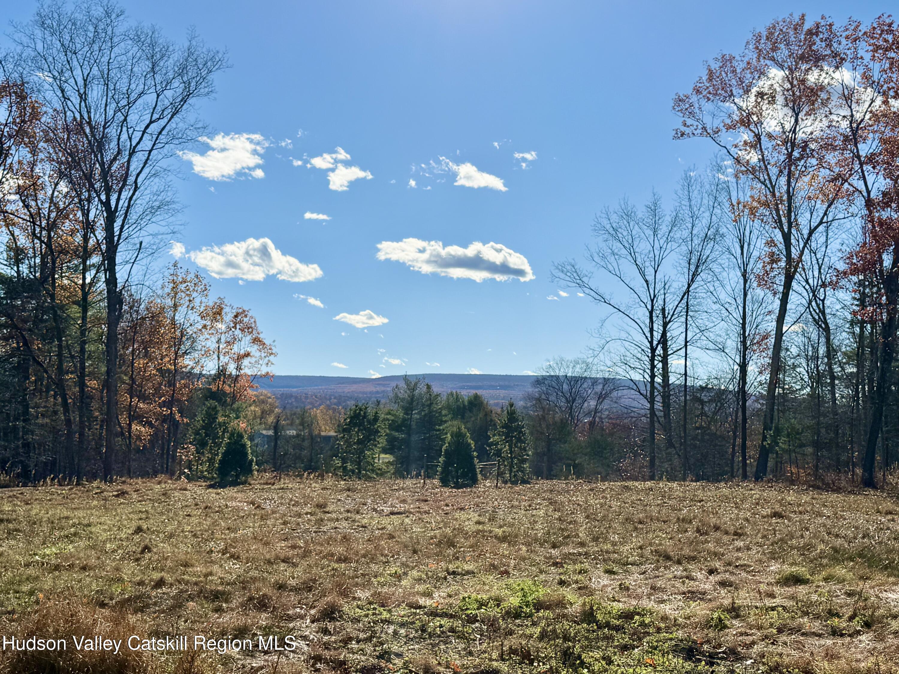 45 Mill Brook Lane Kerhonkson, NY 12446 - Photo 13 of 13 a view of a yard with a tree