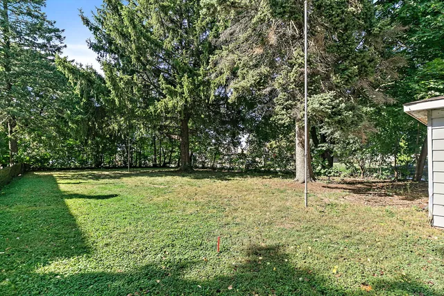 a view of a yard with a tree