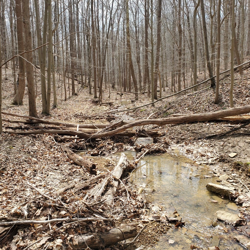 0 State Rt 772 Rarden, OH 45671 - Photo 23 of 37 Gallery Image 23