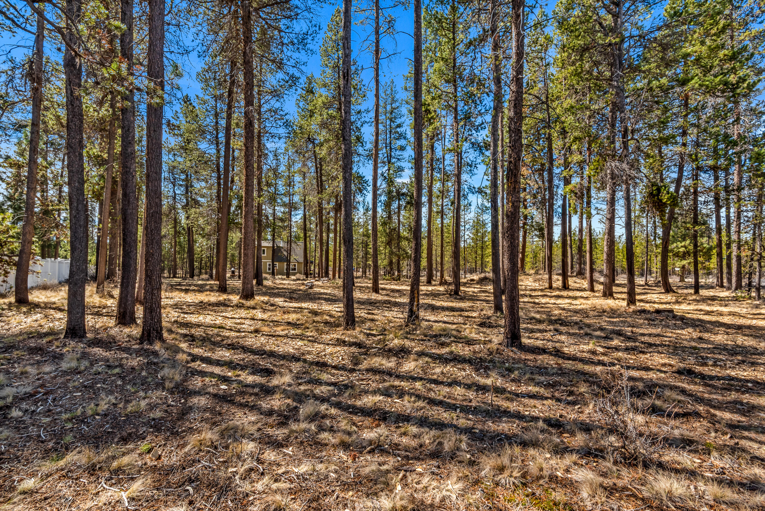 55150 Jackpine Way Bend, OR 97707 - Photo 17 of 19 KellySellsBend_55150_Jack_Pine_Way (18)