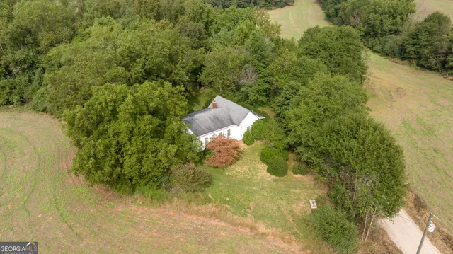 a view of a garden with plants