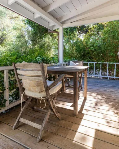 a view of a backyard with plants and trees