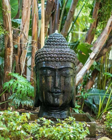 a view of a backyard with plants and outdoor seating