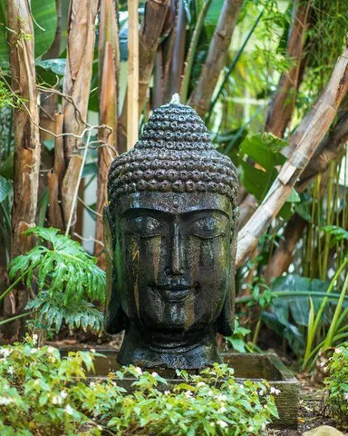 a view of a backyard with plants and outdoor seating